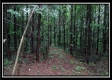 Tract 5 - New Lexington property photo