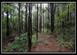 Tract 5 - New Lexington property photo