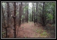 Tract 5 - New Lexington property photo
