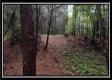 Tract 5 - New Lexington property photo