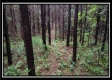 Tract 5 - New Lexington property photo