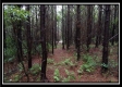 Tract 5 - New Lexington property photo