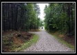 Tract 5 - New Lexington property photo