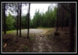 Tract 5 - New Lexington property photo