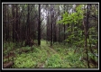 Tract 5 - New Lexington property photo