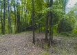 Tract 2 - New Lexington Woods property photo