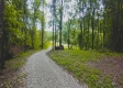 Tract 2 - New Lexington Woods property photo