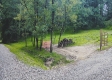 More of Tract 2 - New Lexington Woods