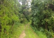 Tract 2 - New Lexington Woods property photo