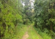 Tract 2 - New Lexington Woods property photo