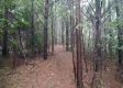 Tract 2 - New Lexington Woods property photo