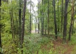 Tract 2 - New Lexington Woods property photo