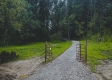 More of Tract 2 - New Lexington Woods