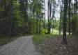 More of Tract 2 - New Lexington Woods