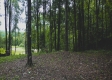 Tract 2 - New Lexington Woods property photo