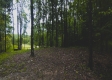 Tract 2 - New Lexington Woods property photo