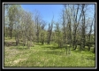 Tract 11 - The Woods at Sunfish Creek property photo