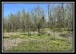 Tract 11 - The Woods at Sunfish Creek property photo