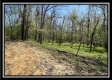 Tract 11 - The Woods at Sunfish Creek property photo