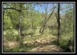Tract 11 - The Woods at Sunfish Creek property photo