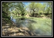 Tract 11 - The Woods at Sunfish Creek property photo
