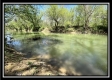 Tract 11 - The Woods at Sunfish Creek property photo