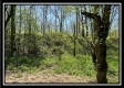 Tract 11 - The Woods at Sunfish Creek property photo