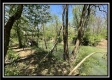 More of Tract 11 - The Woods at Sunfish Creek