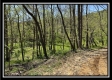Tract 11 - The Woods at Sunfish Creek property photo