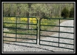 Tract 11 - The Woods at Sunfish Creek property photo