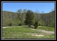 More of Tract 11 - The Woods at Sunfish Creek