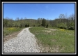 More of Tract 11 - The Woods at Sunfish Creek