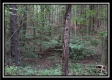 Tract 1A – New Lexington Woods property photo