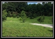 Tract 1A – New Lexington Woods property photo
