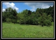 Tract 1A – New Lexington Woods property photo