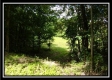 Tract 1A – New Lexington Woods property photo