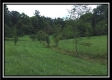 Tract 1A – New Lexington Woods property photo