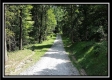 More of Tract 1A – New Lexington Woods