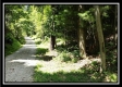 Tract 1A – New Lexington Woods property photo