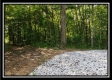 Tract 3 – The Woods at Pedigo Ridge property photo