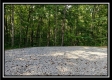 Tract 3 – The Woods at Pedigo Ridge property photo
