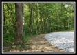 Tract 3 – The Woods at Pedigo Ridge property photo