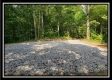 Tract 3 – The Woods at Pedigo Ridge property photo