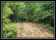 Tract 3 – The Woods at Pedigo Ridge property photo