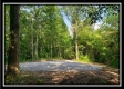 Tract 3 – The Woods at Pedigo Ridge property photo