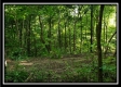Tract 3 – The Woods at Pedigo Ridge property photo