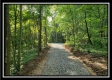 Tract 3 – The Woods at Pedigo Ridge property photo