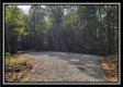 Tract 3 – The Woods at Pedigo Ridge property photo