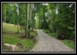 Tract 1B – New Lexington Woods property photo