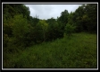 Tract 1B – New Lexington Woods property photo